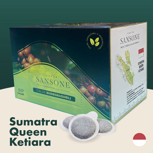 50 Cialde Sumatra caffè Sansone